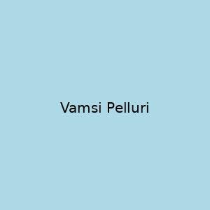 Vamsi Pelluri